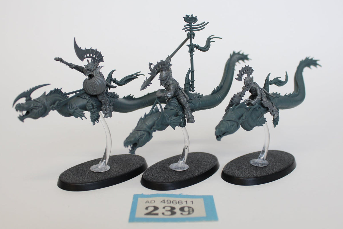 Akhelian Ishlaen Guard - Idoneth Deepkin - #B239