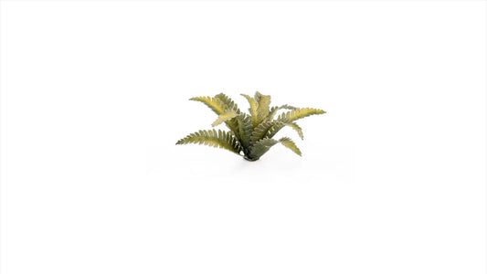 GamersGrass Laser Plants - Deer Fern