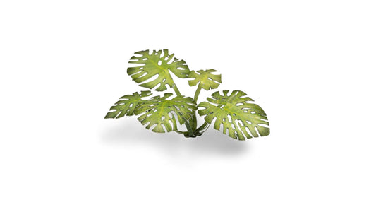 GamersGrass Laser Plants - Monstera