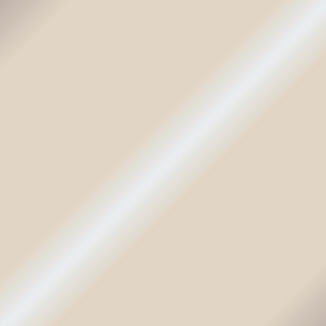 Darkstar: Silver- Metallic Paint
