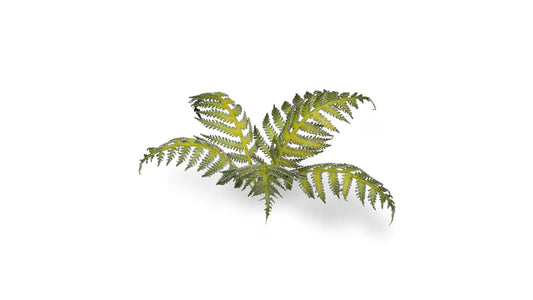 GamersGrass Laser Plants - Bracken