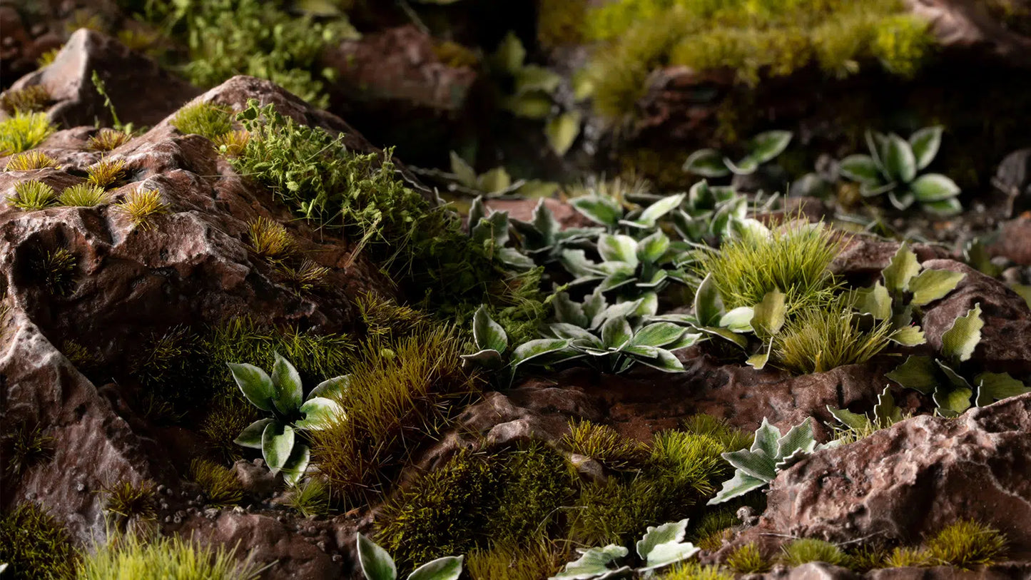 GamersGrass Laser Plants - Plantain Lily