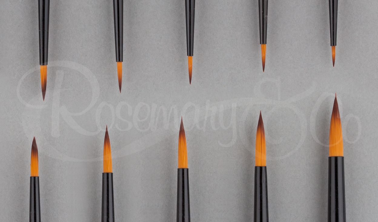 Rosemary & Co - Series 313. Golden Nylon