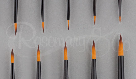 Rosemary & Co - Series 313. Golden Nylon