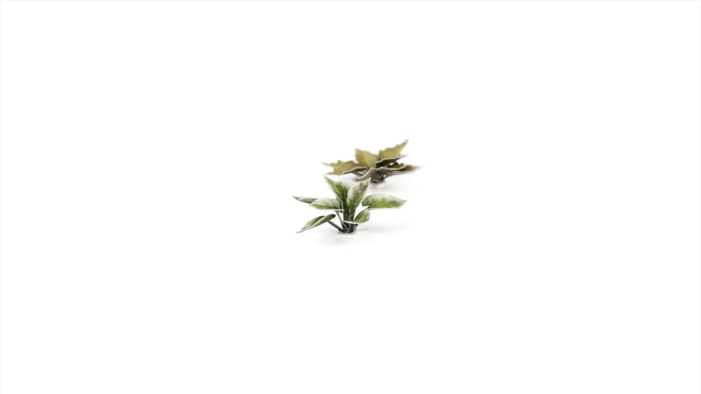 GamersGrass Laser Plants - Plantain Lily